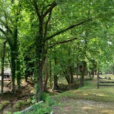 Review photo of Brierfield Ironworks Historical Park by Lisa N., June 27, 2020