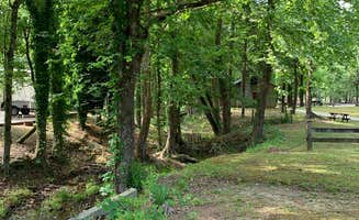Lisa N.'s photo of camping with pets at Brierfield Ironworks Historical Park near Vestavia Hills, AL