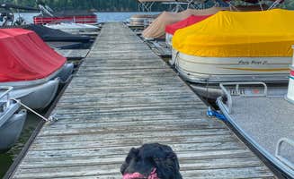 Andrea F.'s photo of camping with pets at Pleasant Hill Lake Park Campground near Galena, OH