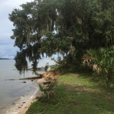 Review photo of Hickory Hill Wilderness Campsite — Cumberland Island National Seashore by Elizabeth G., June 27, 2020