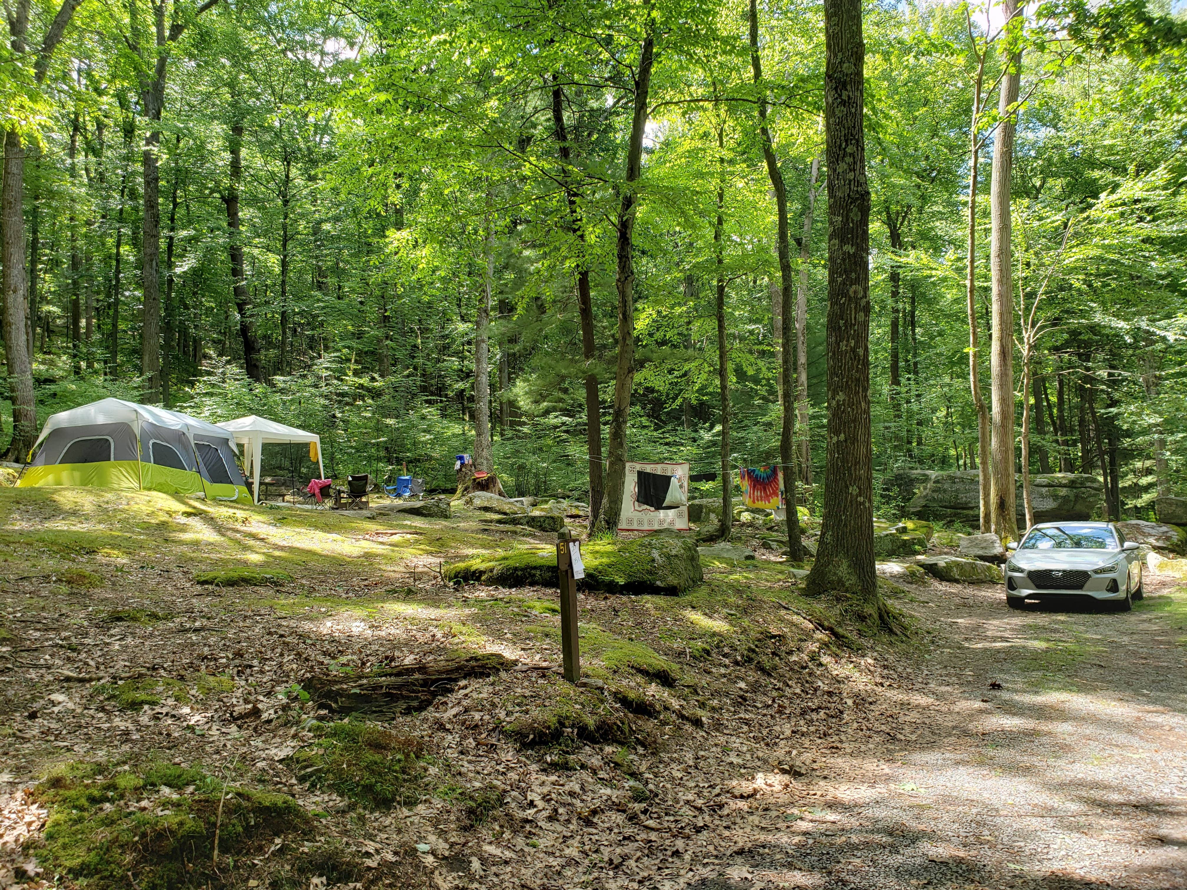 Kelly C.'s photo at Clear Creek State Park Campground near Leeper, PA