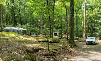 Kelly C.'s photo at Clear Creek State Park Campground near Cooksburg, PA