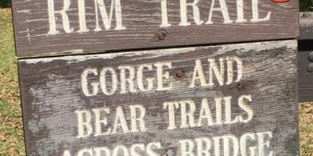 Camper submitted image from Buttermilk Falls State Park Campground