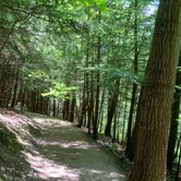 Review photo of Buttermilk Falls State Park Campground by Sara S., June 27, 2020