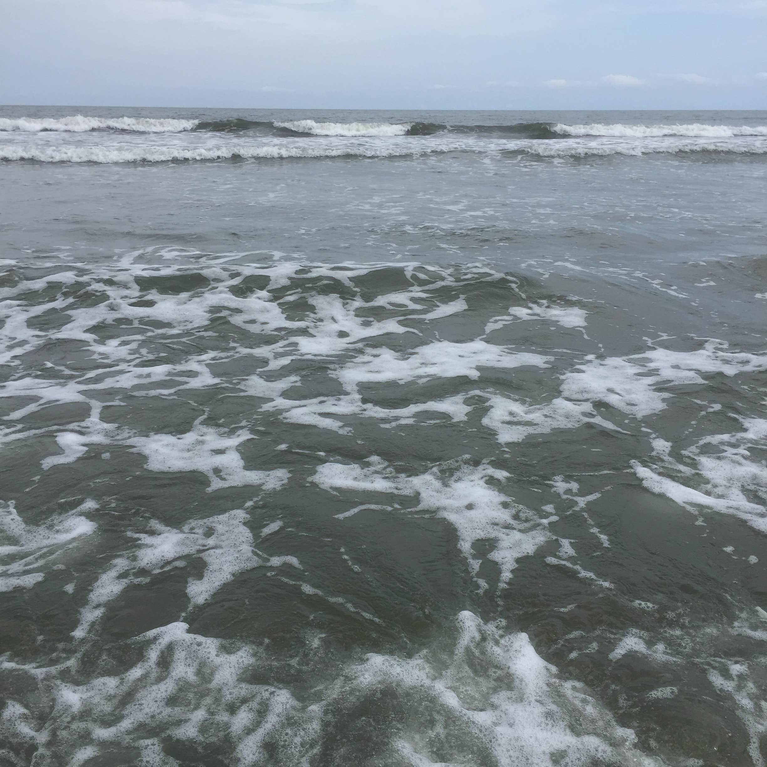 Camper-submitted photo at Hickory Hill Wilderness Campsite — Cumberland Island National Seashore near Cumberland Island National Seashore
