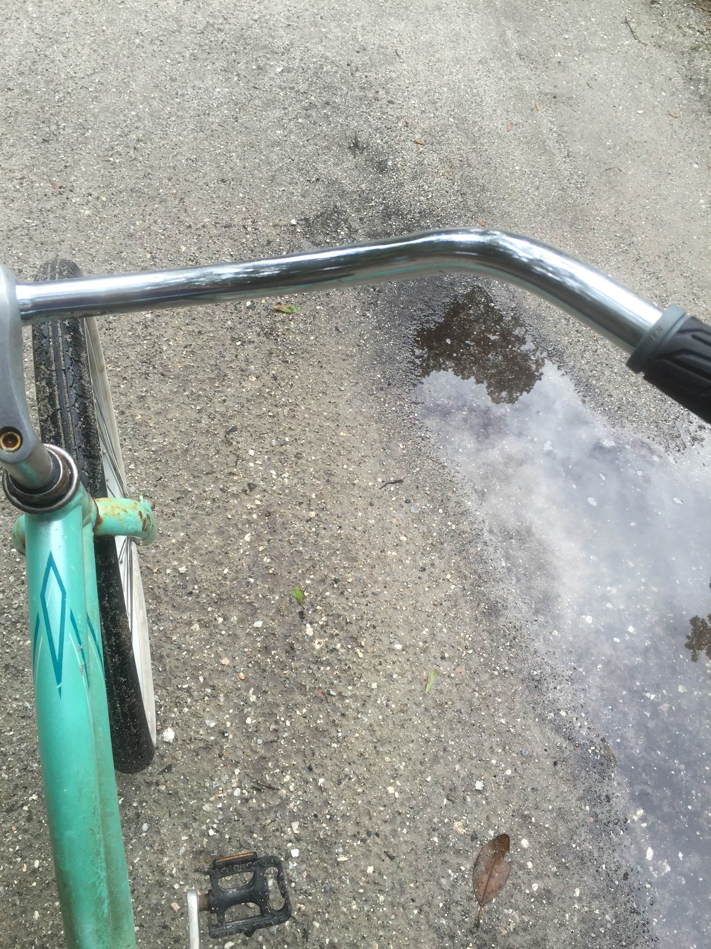 Camper-submitted photo at Hickory Hill Wilderness Campsite — Cumberland Island National Seashore near Cumberland Island National Seashore