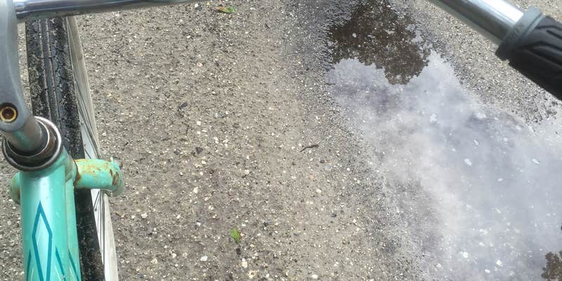 Camper submitted image from Hickory Hill Wilderness Campsite — Cumberland Island National Seashore