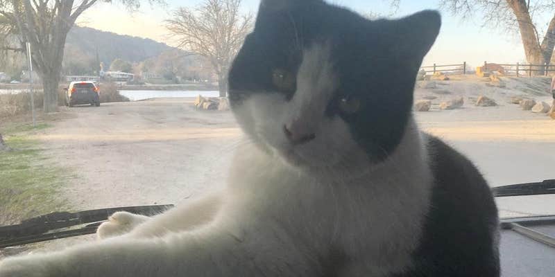 Camper submitted image from Bay Pines Travel Trailer Park