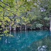 Review photo of Manatee Springs State Park Campground by Denise K., June 27, 2020