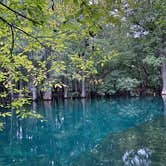 Review photo of Manatee Springs State Park Campground by Denise K., June 27, 2020
