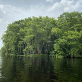 Review photo of Manatee Springs State Park Campground by Denise K., June 27, 2020