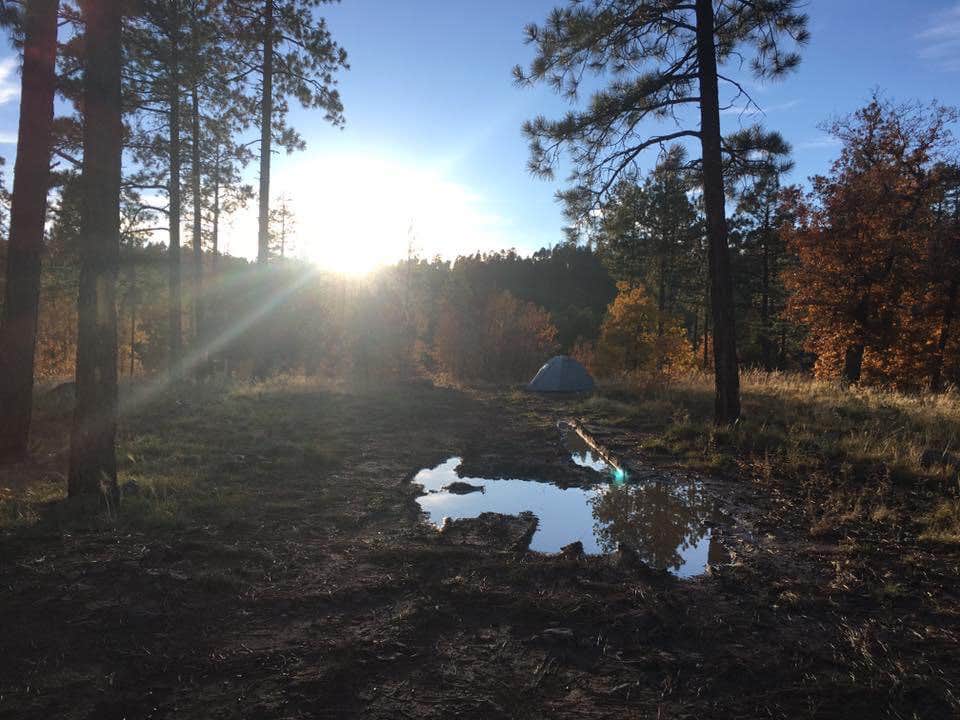 Camper submitted image from Cocino National Forest - Rd. 535 - 3