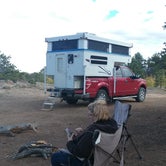 Review photo of Forest Service Road 700 Designated Dispersed Camping by Terry B., June 27, 2020