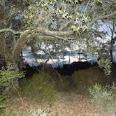Review photo of Fort Pickens Campground — Gulf Islands National Seashore by Denise K., June 27, 2020