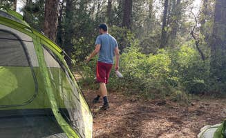 Sydneu B.'s photo at Lower Hermosa Campground near San Juan National Forest
