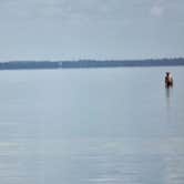 Review photo of T.H. Stone Memorial St. Joseph Peninsula State Park Campground by Denise K., June 27, 2020