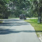 Review photo of T.H. Stone Memorial St. Joseph Peninsula State Park Campground by Denise K., June 27, 2020