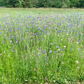 Review photo of Mill Creek Camping — Berlin Lake Wildlife Area by Brannon M., June 27, 2020