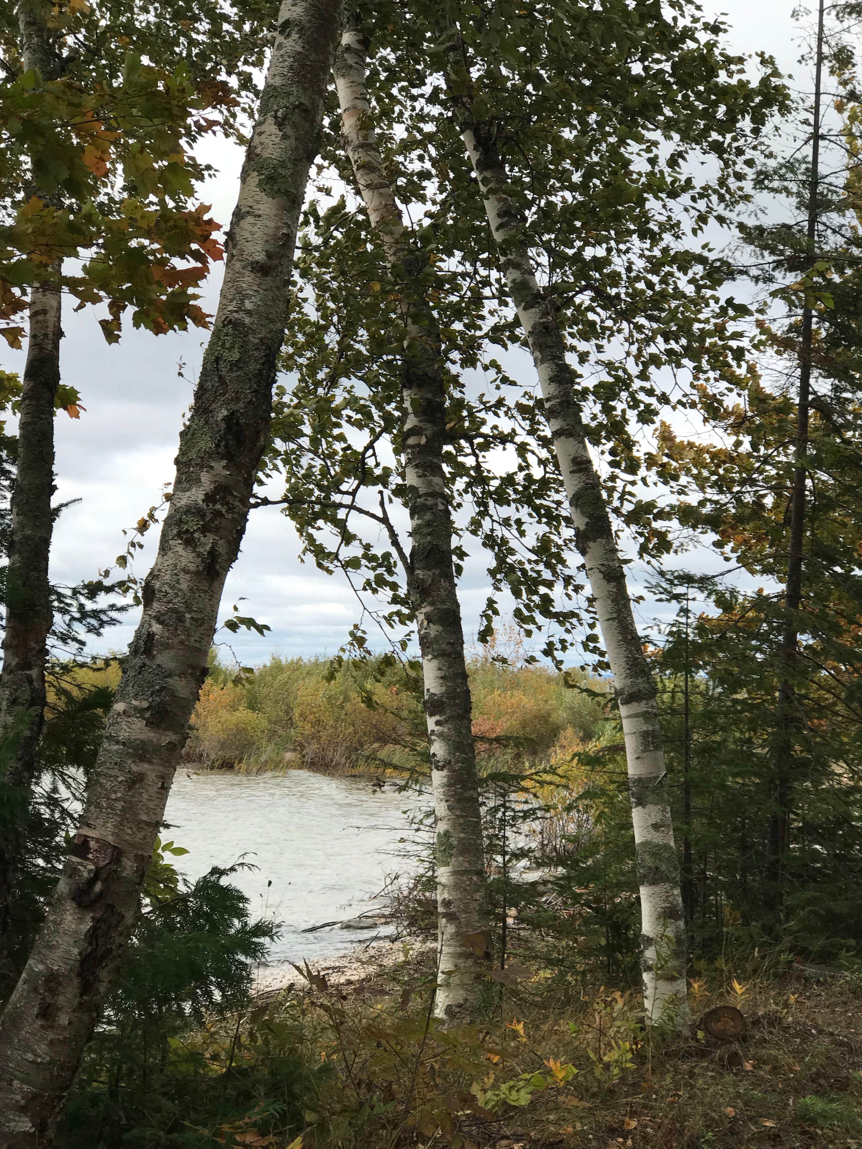 Camper-submitted photo at Leelanau State Park Campground near Eastport, MI