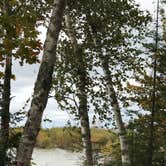 Review photo of Leelanau State Park Campground by Kathie M., June 19, 2020