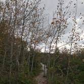 Review photo of Leelanau State Park Campground by Kathie M., June 19, 2020