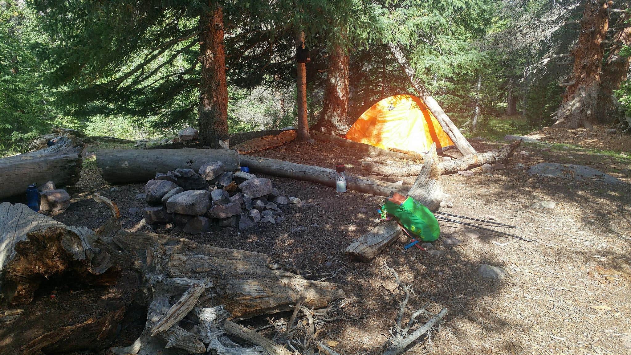 Camper submitted image from Dollar Lake Campsites - 4