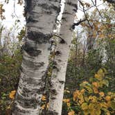 Review photo of Leelanau State Park Campground by Kathie M., June 19, 2020