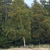 Review photo of Leelanau State Park Campground by Kathie M., June 19, 2020