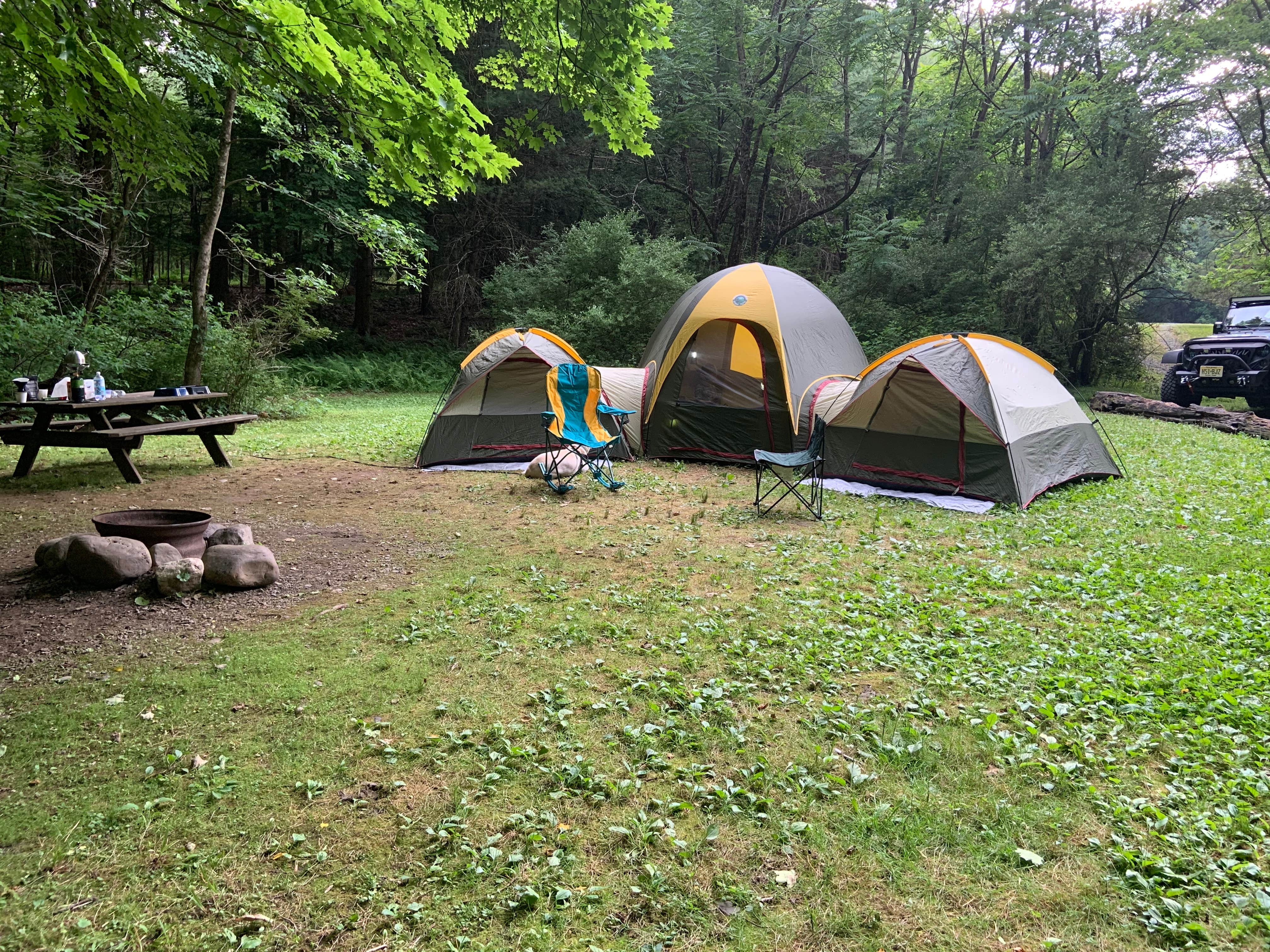 Camper-submitted photo at Dingmans Campground — Delaware Water Gap National Recreation Area near Newton, NJ