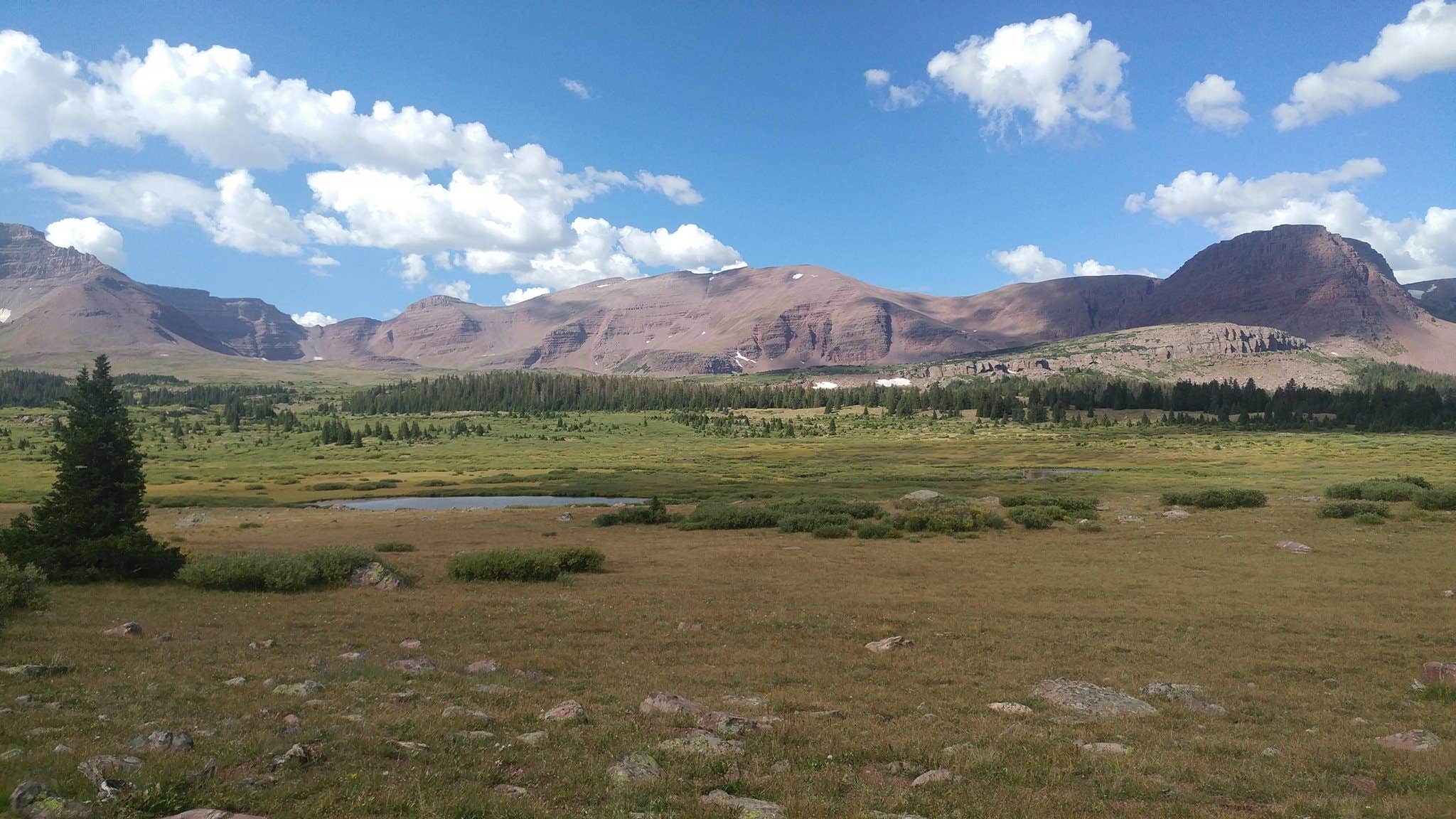 Camper-submitted photo at Dollar Lake Campsites near Roosevelt, UT