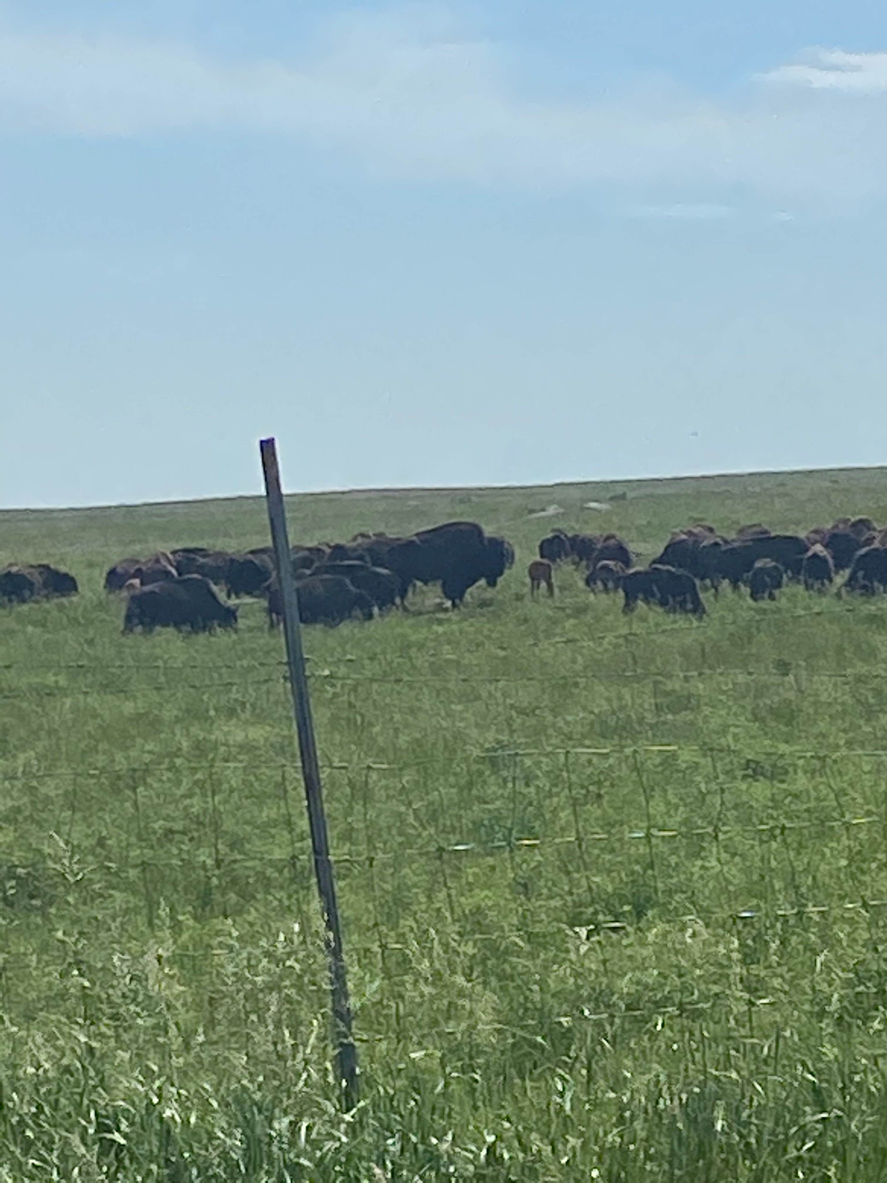 Camper-submitted photo at Blue Mounds State Park Campground in Minnesota