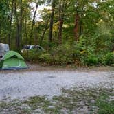 Review photo of Starved Rock Campground — Starved Rock State Park by Neal C., June 28, 2020