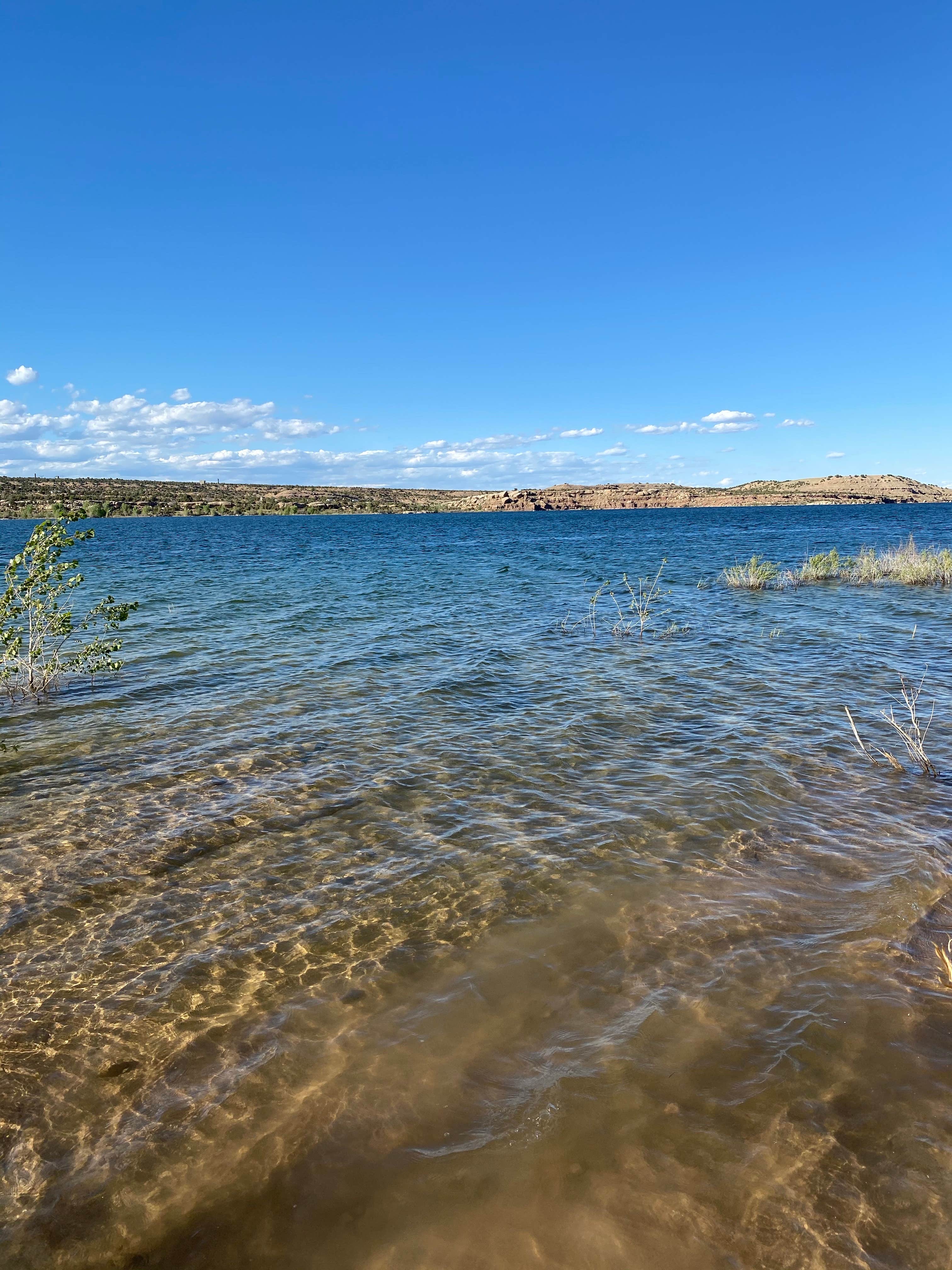 Reilly M.'s photo of a dispersed camping area at Juniper Point — Fred Hayes State Park at Starvation near Duchesne, UT