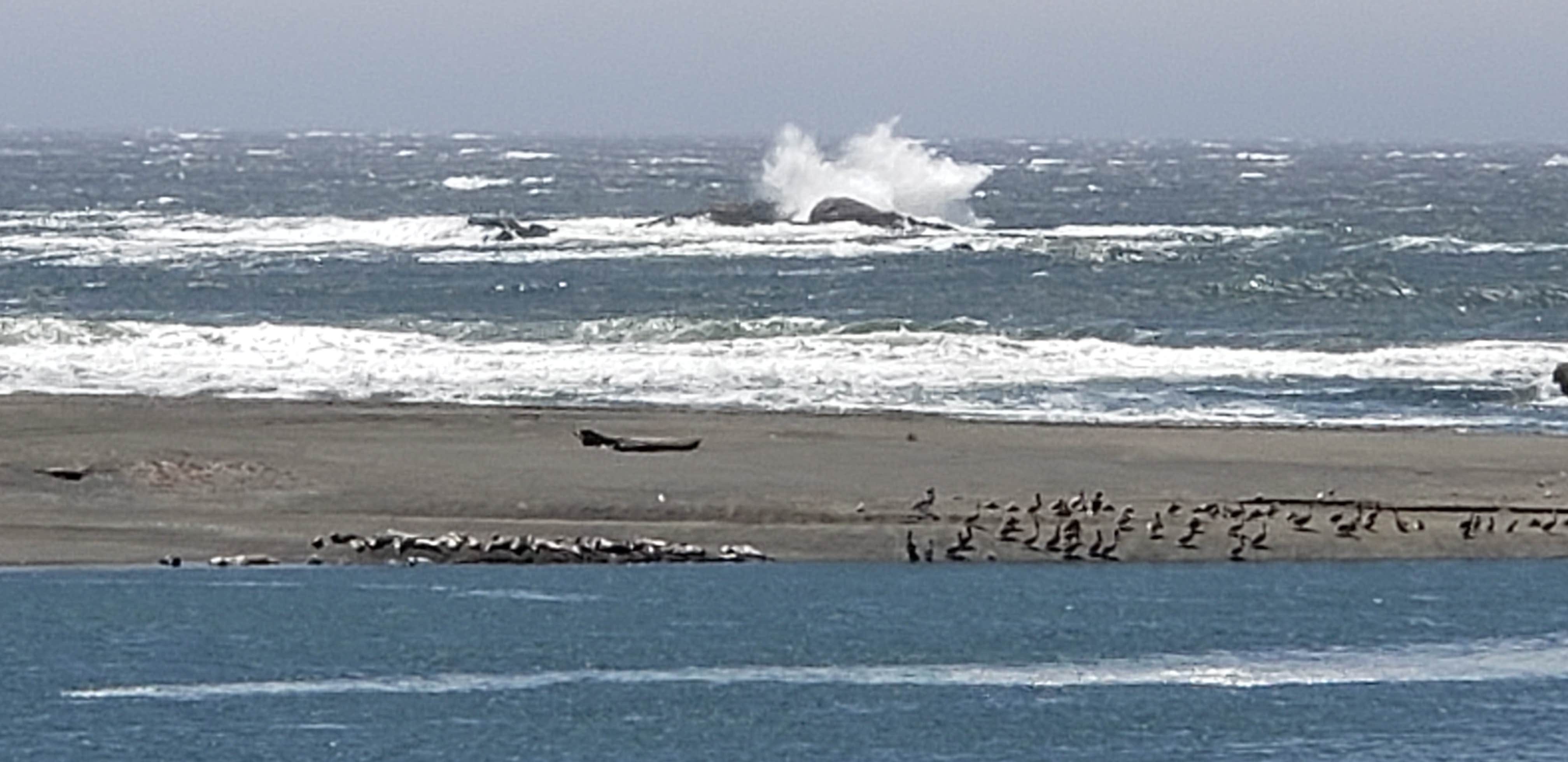 Camper-submitted photo at Howonquet (Xaa-wan'-k'wvt) Village and Resort near Smith River, CA