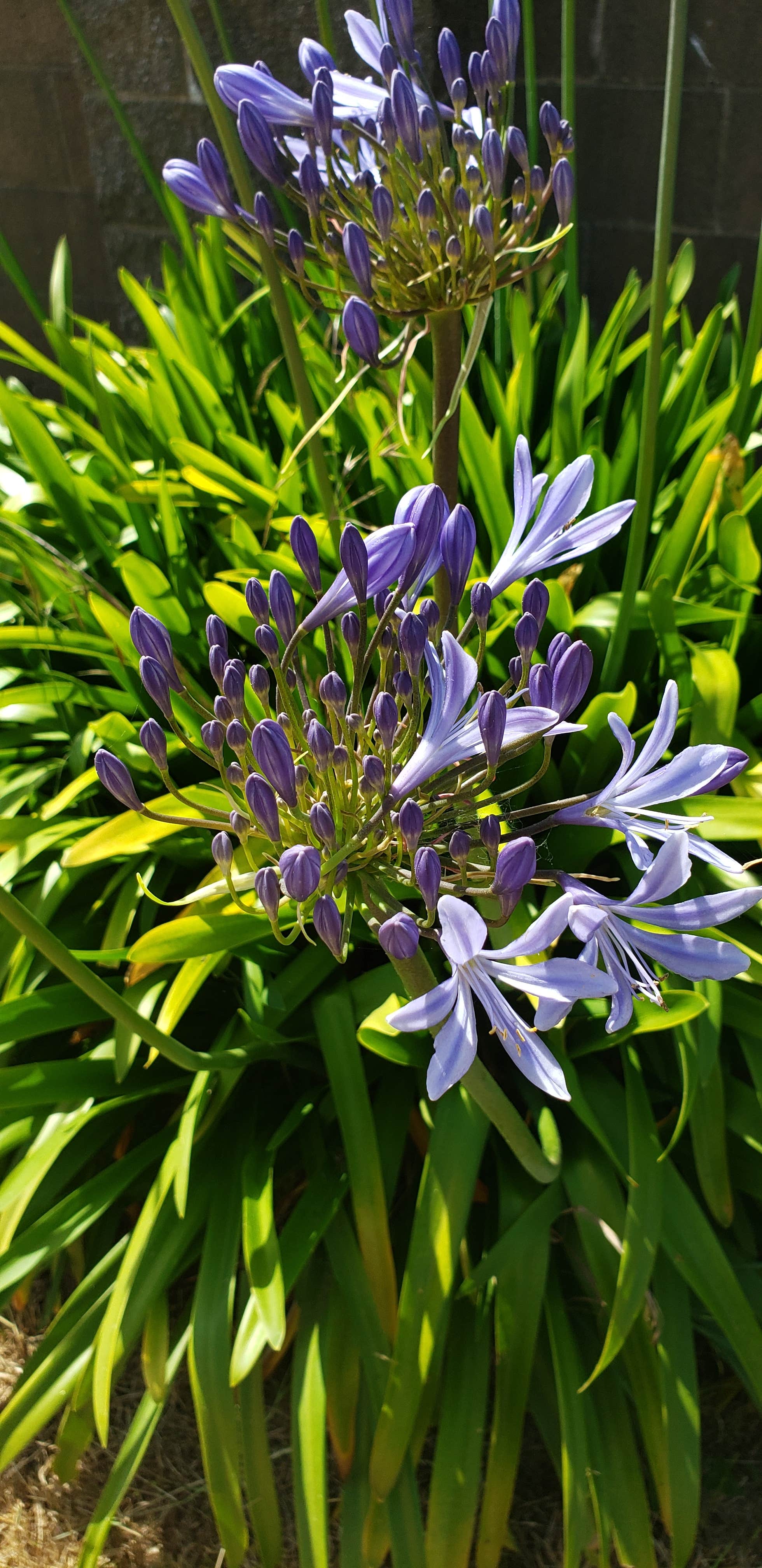 Camper-submitted photo at Howonquet (Xaa-wan'-k'wvt) Village and Resort near Smith River, CA