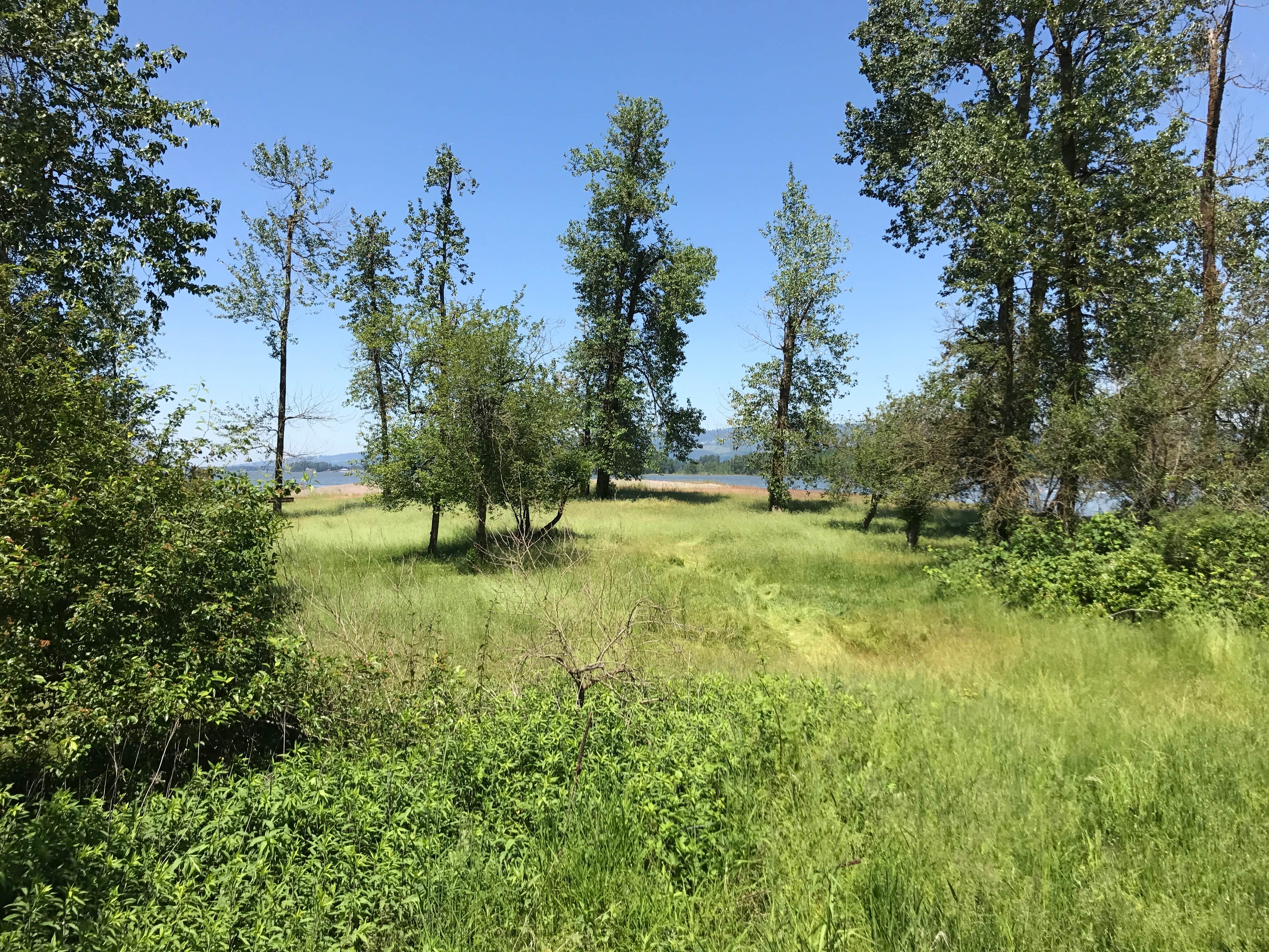 Camper-submitted photo at Sand Island Marine Park Campground near Woodland, WA