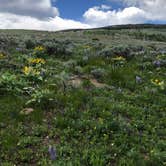 Review photo of Shell Creek by Doug I., June 28, 2020