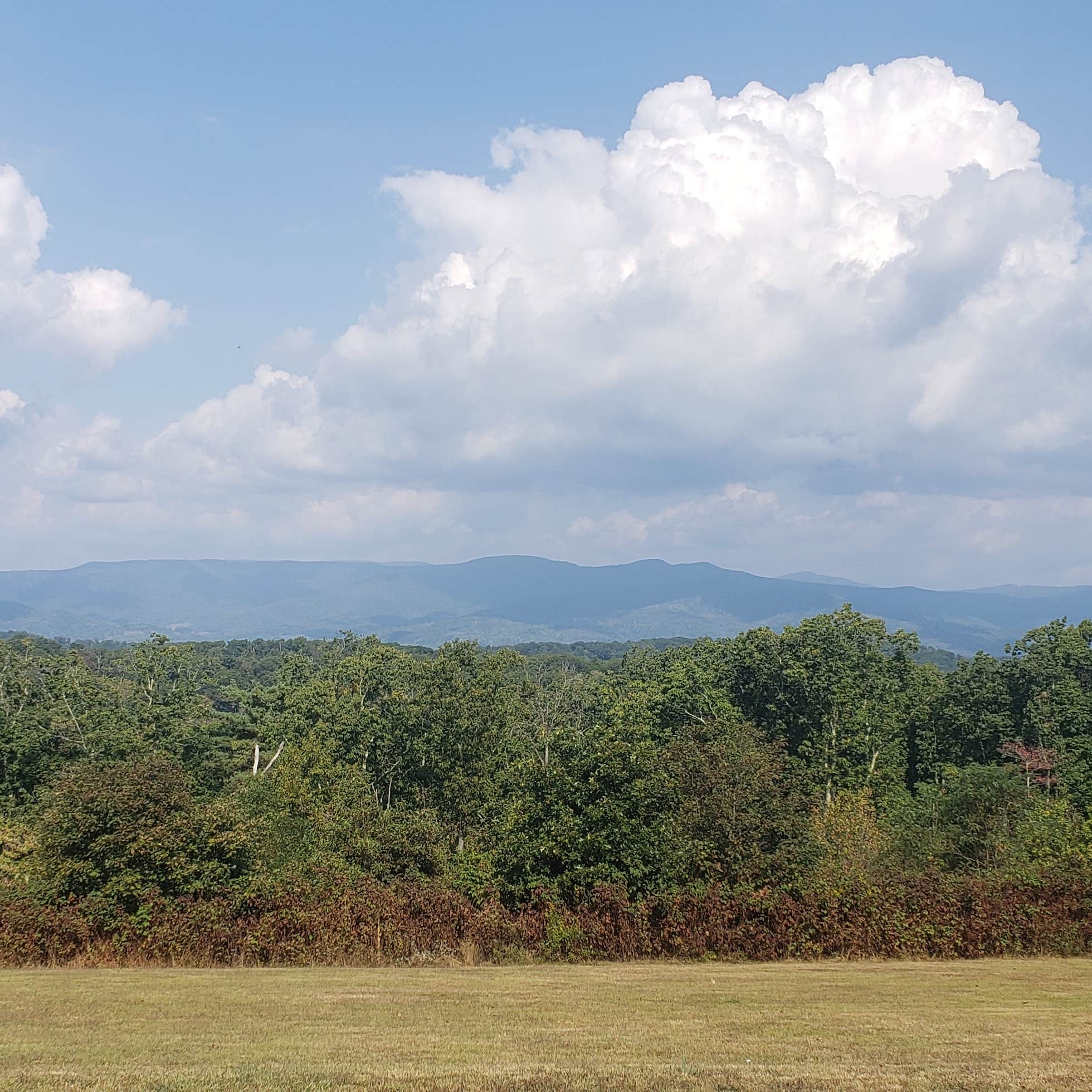 Watoga State Park Camping | Marlinton, WV | The Dyrt