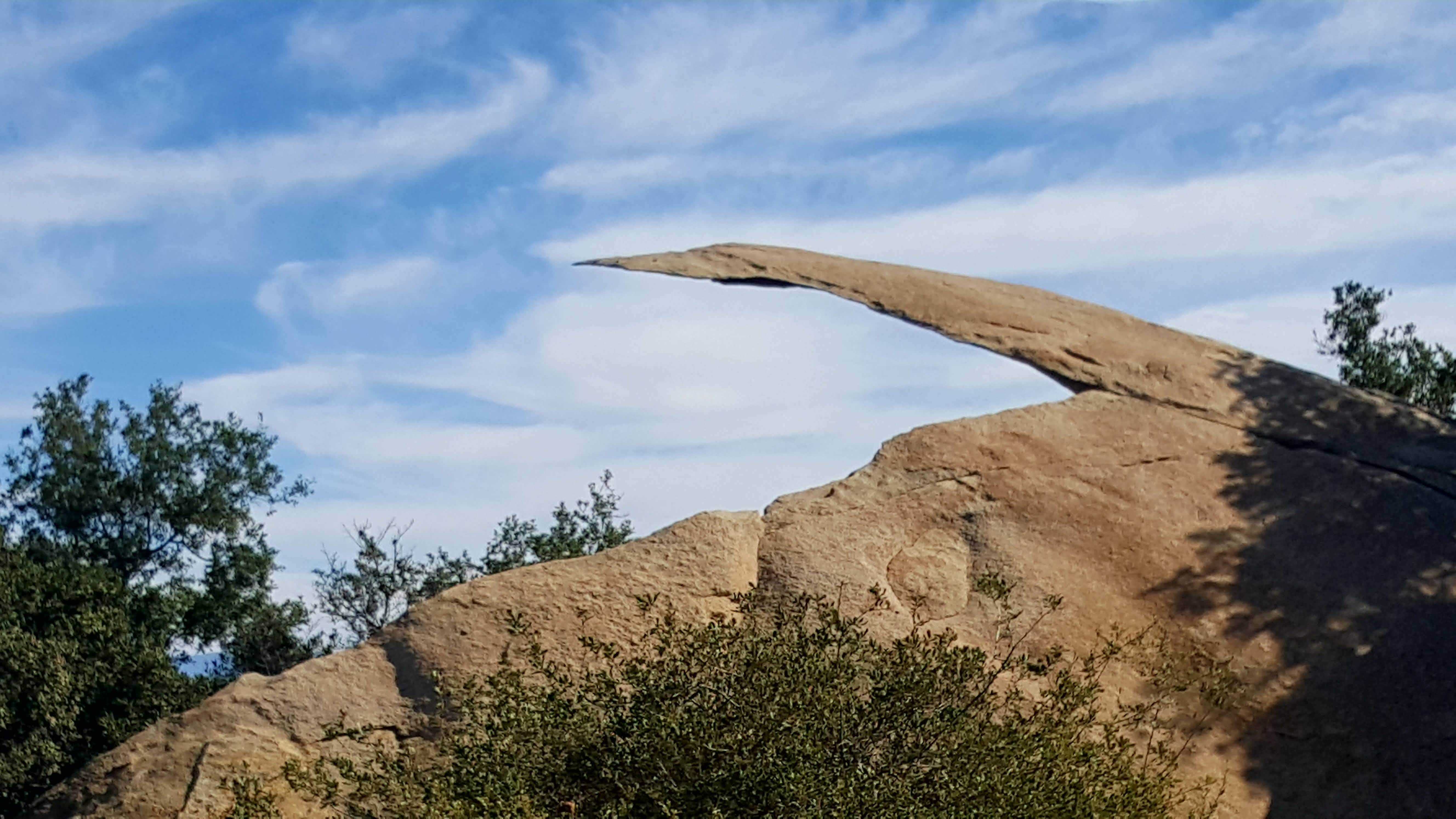 Camper-submitted photo at Dos Picos County Park near Bonita, CA
