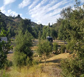 Camper-submitted photo from Dos Picos County Park