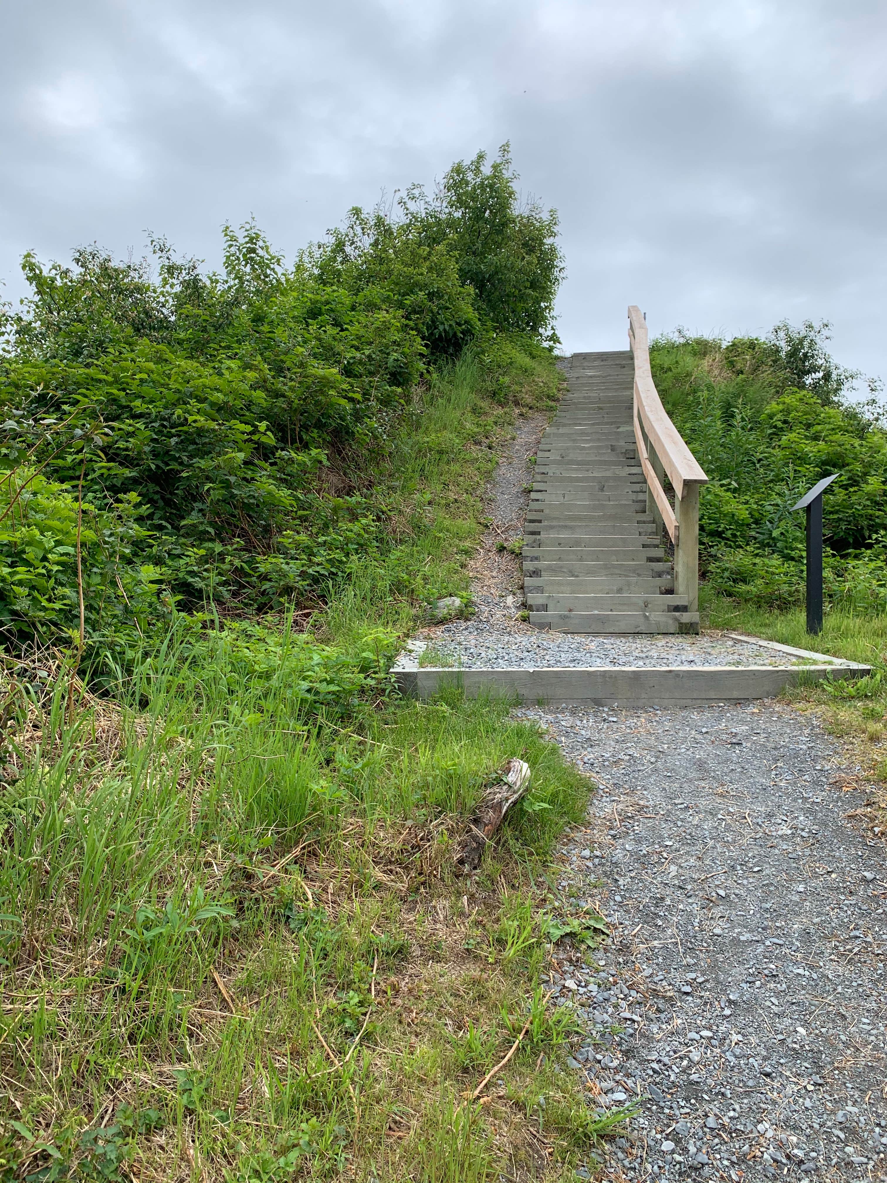 Camper-submitted photo at Bear Paw RV Park near Valdez, AK