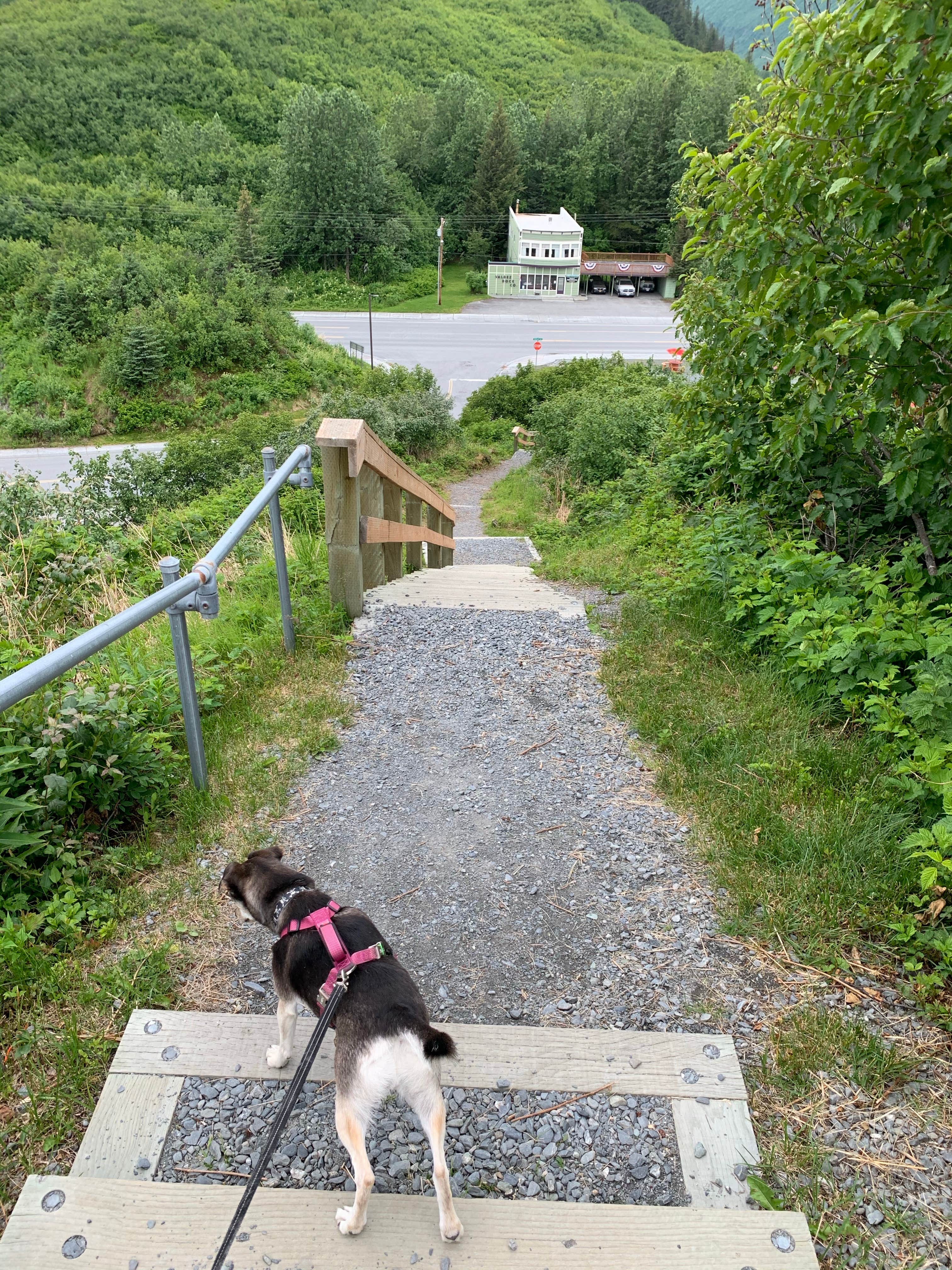 Camper-submitted photo at Bear Paw RV Park near Valdez, AK