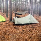 Review photo of Northside Lake Eleven Campsite by Steph H., November 1, 2017