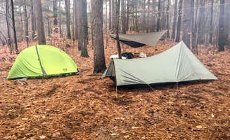 Steph H.'s photo of tent camping at Northside Lake Eleven Campsite near Lublin, WI