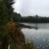 Review photo of Northside Lake Eleven Campsite by Steph H., November 1, 2017