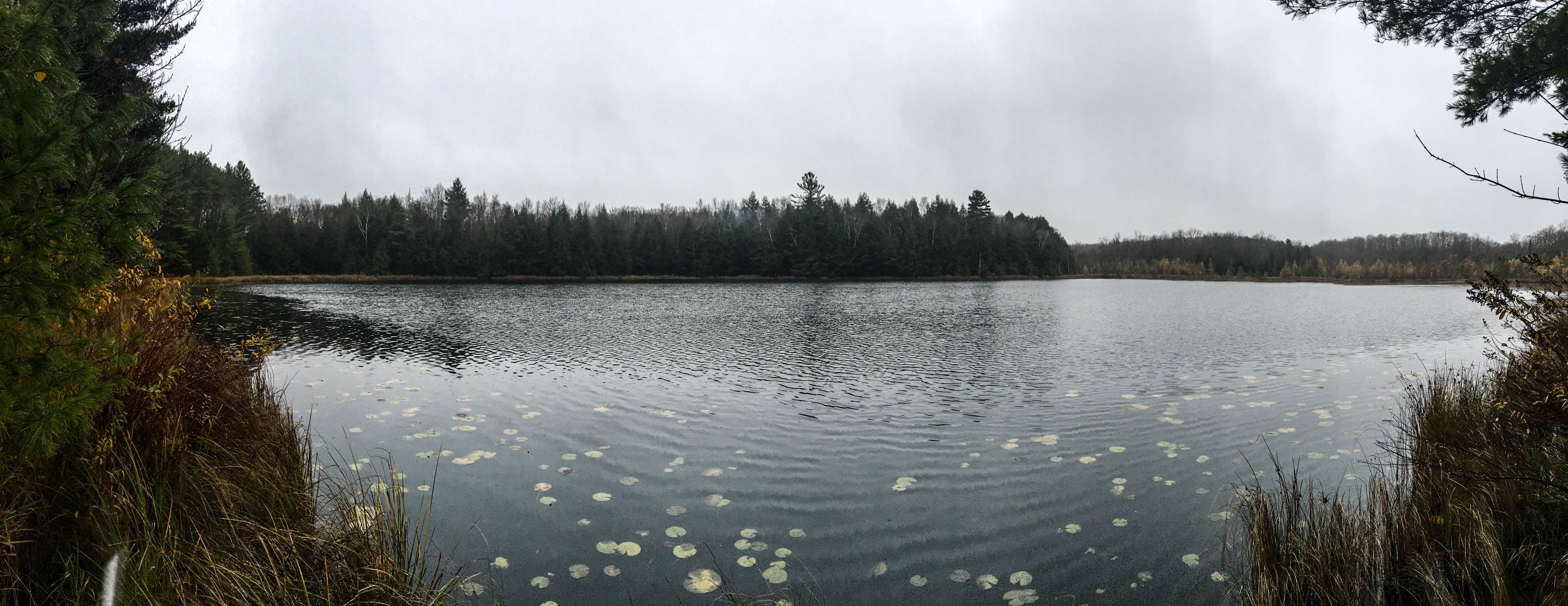 Camper submitted image from Northside Lake Eleven Campsite - 3