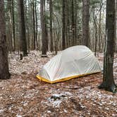 Review photo of Northside Lake Eleven Campsite by Steph H., November 1, 2017