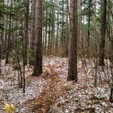 Review photo of Northside Lake Eleven Campsite by Steph H., November 1, 2017