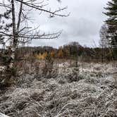 Review photo of Northside Lake Eleven Campsite by Steph H., November 1, 2017