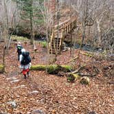 Review photo of Northside Lake Eleven Campsite by Steph H., November 1, 2017